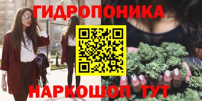PSILOCYBIN Заволжье