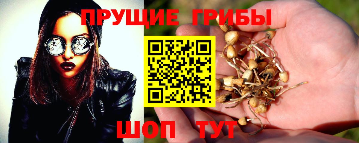 Янаул  Галлюциногенные грибы Psilocybe  Вход с VPN  Псилоцибиновые грибы прущие грибы 