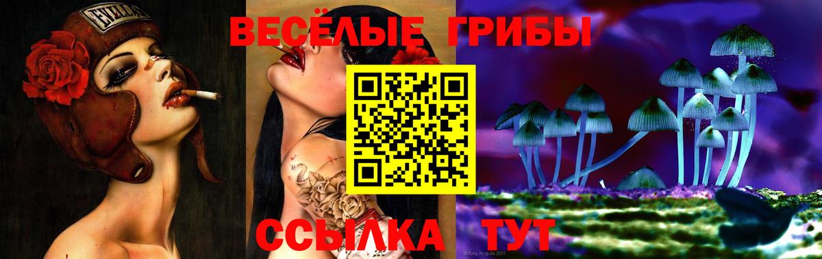 Галлюциногенные грибы GOLDEN TEACHER Янаул